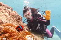 MARINE LINK FOR DIVERS