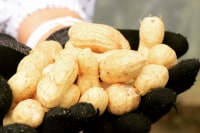 岩見沢市観光協会