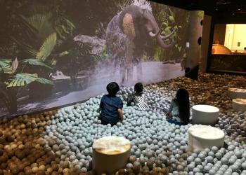 冒険の島 ドコドコ