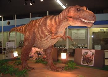 京都市青少年科学センター