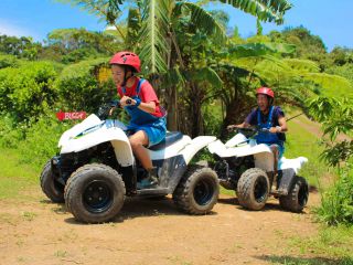 ヤンバルンチャー