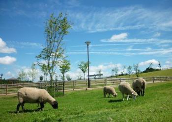 うだ・アニマルパーク