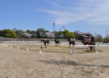 鶴見緑地乗馬苑