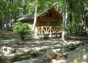 ネーブルパーク