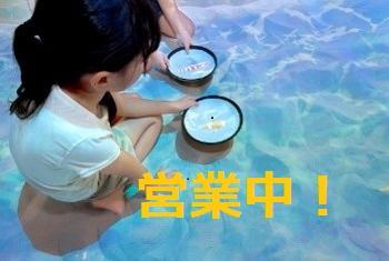 あそびパーク(ナムコトレッサ横浜店)