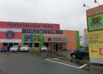 てんとう虫パーク BIG STAGE(河内長野店)