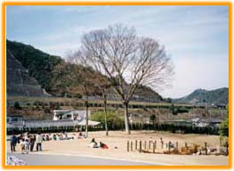 阪南市わんぱく王国