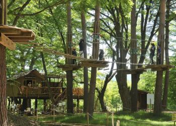 スウィートグラスアドベンチャー