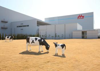 森永乳業 神戸工場