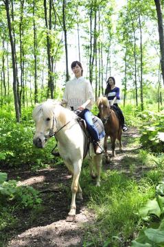 登別ホースパーク遊駿