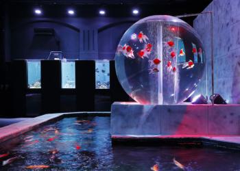 アクアテラス錦ケ丘