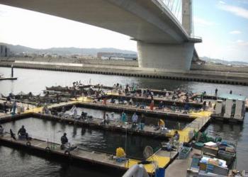 海釣りポート田尻