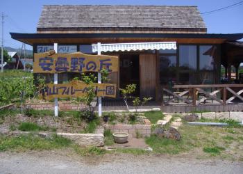 安曇野の丘　村山ブルーベリー園