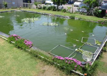 いとうつり具店