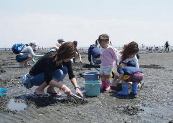 ふなばし三番瀬海浜公園