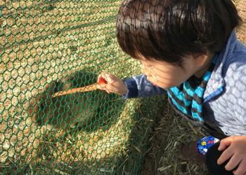 ホリ牧場　夢ミルク館