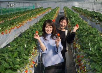 らいおん果実園