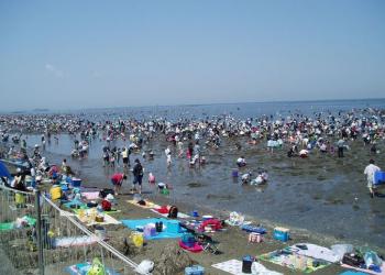 富津海岸 潮干狩り場