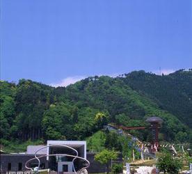 きのこの森の写真1