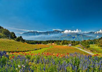 富士見高原リゾート花の里