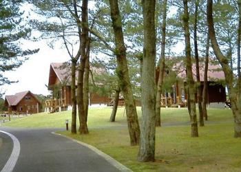 県立吹上浜海浜公園