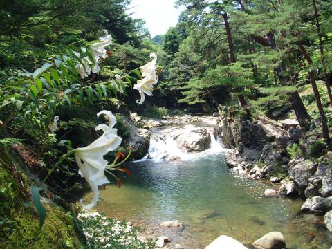 不動尊公園キャンプ場