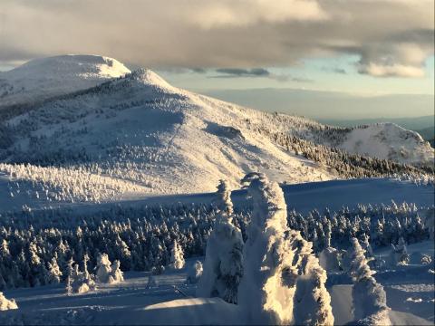 みやぎ蔵王 すみかわスノーパーク