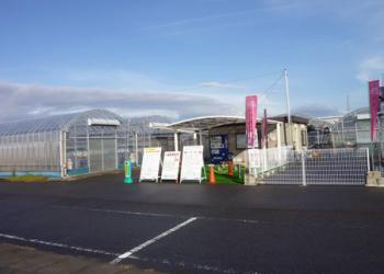 トリックスいちご園