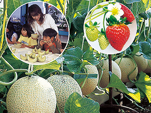 ニュー渥美観光