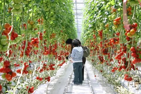 ワンダーファーム