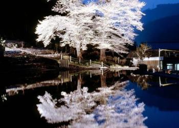 さるぼぼ黄金足湯