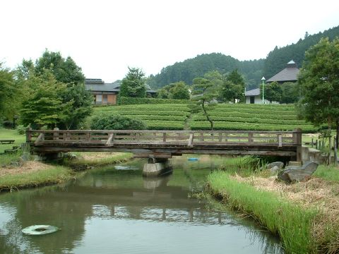 奥久慈茶の里公園