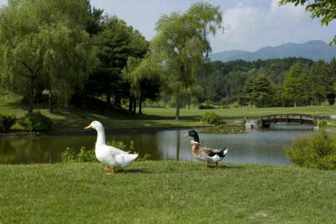 ゴルフ5カントリーかさまフォレスト