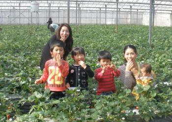 むさしの園　並木