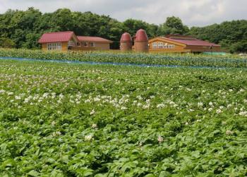 ホクレン食と農のふれあいファーム くるるの杜