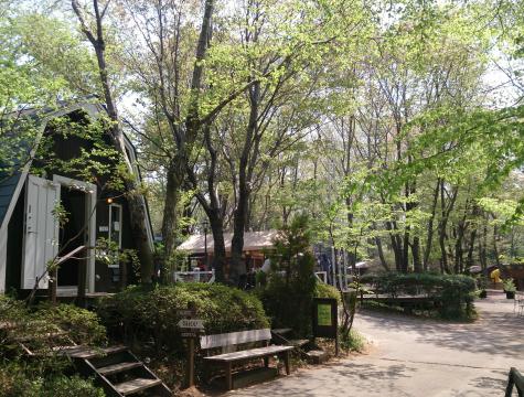 フォンテーヌの森