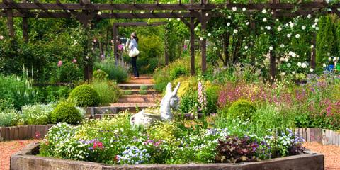 フラワーヒル 花ぞの