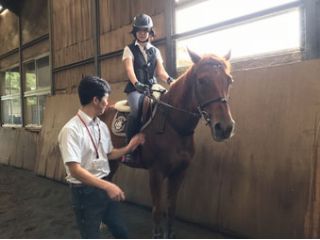 ホースファームエルミオーレ茨城