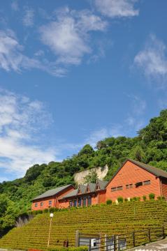 雪入ふれあいの里公園