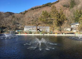 つり堀ながとろ