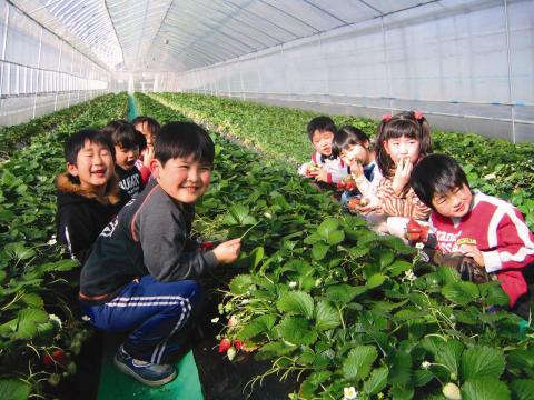 いわふねフルーツパーク