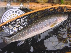 那須フィッシュランド