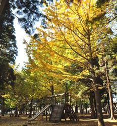 八千代台北市民の森