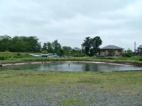 ベリーパークin小山