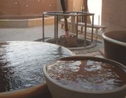 鹿島セントラル天然温泉美人の湯 ゆの華