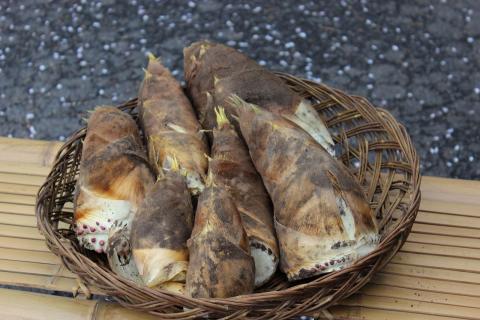 若竹の杜 若山農場