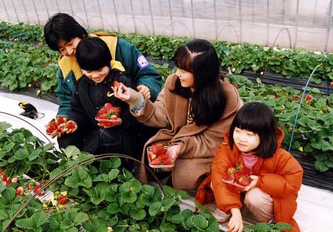 果実の里 原田農園