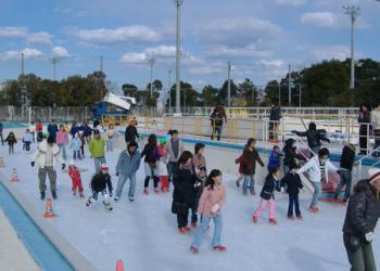 姉崎公園アイススケート場