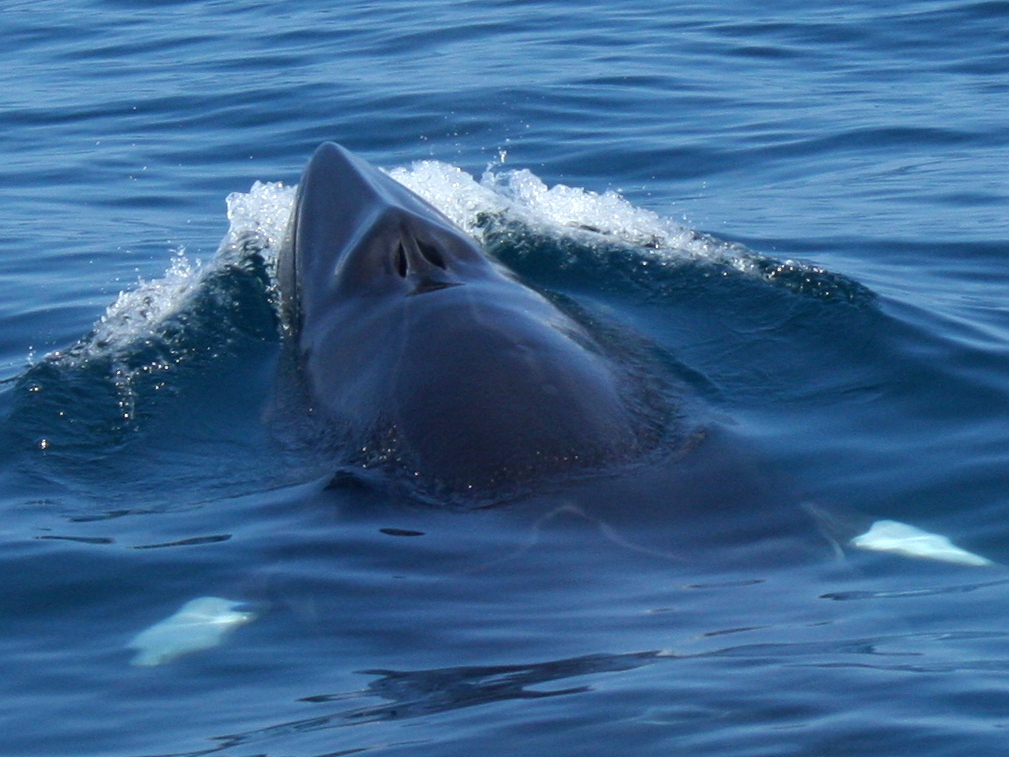 一般社団法人　網走市観光協会