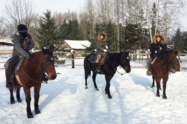 クラークホースガーデン